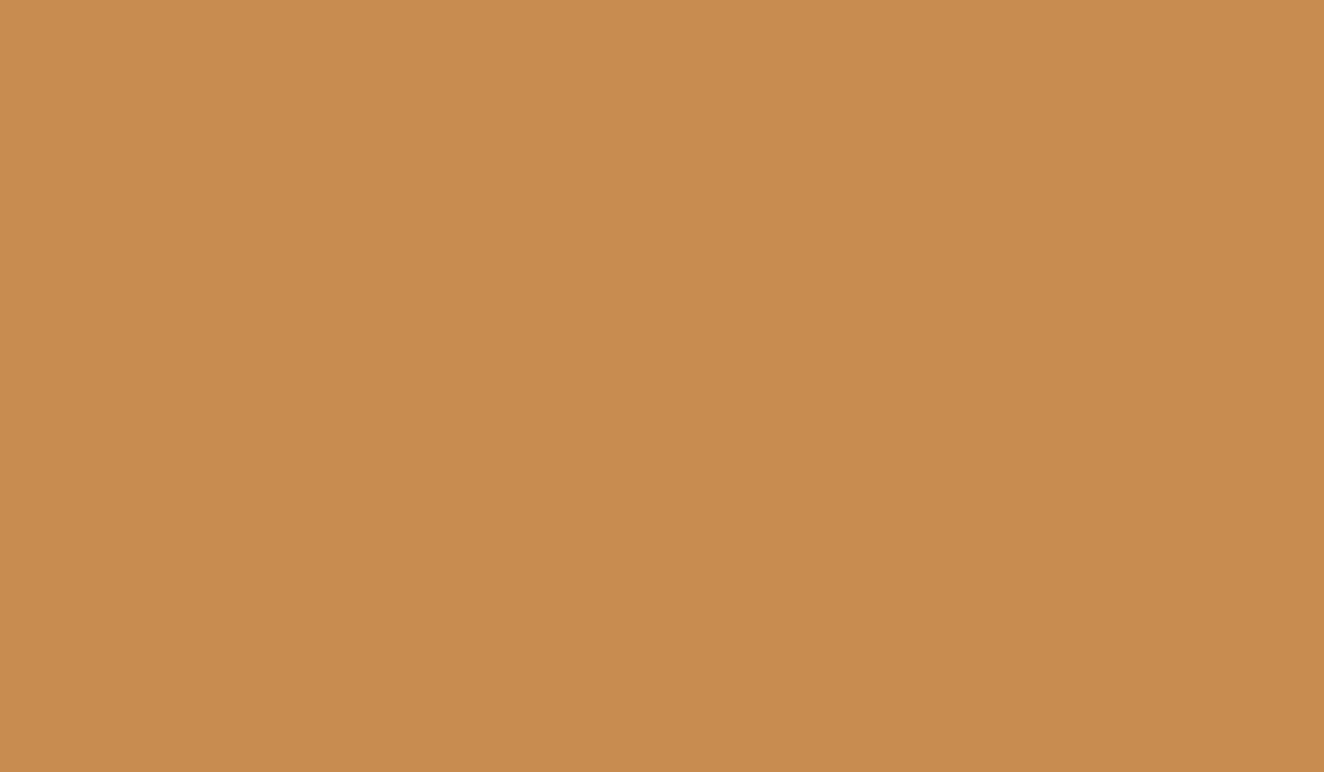 Autumn personal color palette example